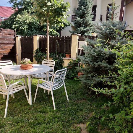D&D Vila Villa Iasi Eksteriør billede