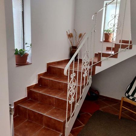 D&D Vila Villa Iasi Eksteriør billede