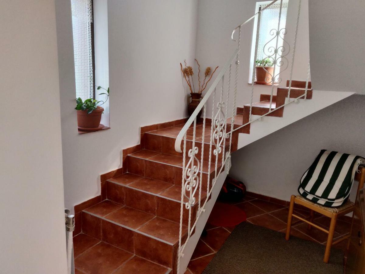 D&D Vila Villa Iasi Eksteriør billede